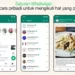 WhatsApp Kenalkan Fitur Baru, Cara Membuat WhatsApp Channel