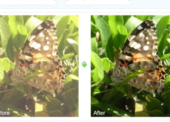 Daftar Tool AI untuk Memperbaiki Foto Ngeblur, Hasil Jernih Seketika