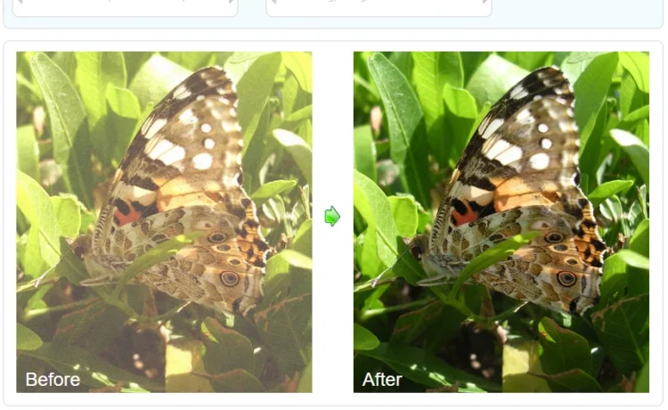 Daftar Tool AI untuk Memperbaiki Foto Ngeblur, Hasil Jernih Seketika