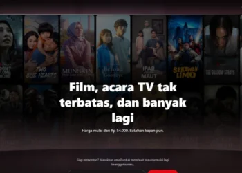 Hemat Budget! Begini Cara Berlangganan Netflix Lebih Murah