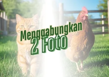 Rahasia Menggabungkan 2 Foto di Canva Agar Tampak Menyatu dan Estetik
