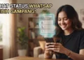 Cara Mengatasi Status WhatsApp yang Buram, Pecah, dan Tidak HD